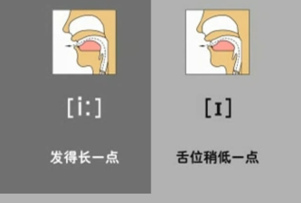 音标表48个国际音标发音教学视频,英语美式音标48个音标谐音图