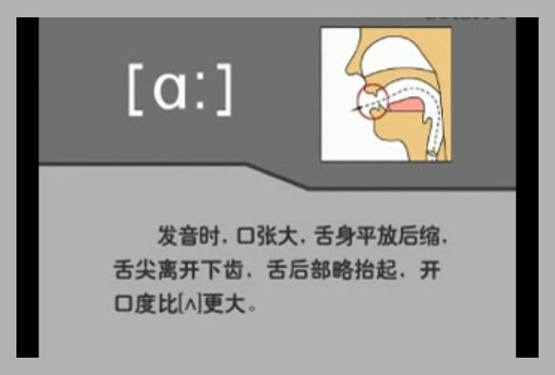 音标表48个国际音标发音教学视频,英语美式音标48个音标谐音图
