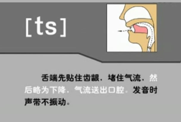 音标表48个国际音标发音教学视频,英语美式音标48个音标谐音图