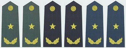 中国人民解放军现行军官军衔分类,解放军军官的军衔与职务