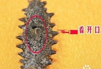 海参道地吃法 (海参好不好吃的秘诀)