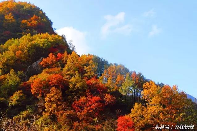 西安长安旅游怎么玩,西安长安游玩攻略