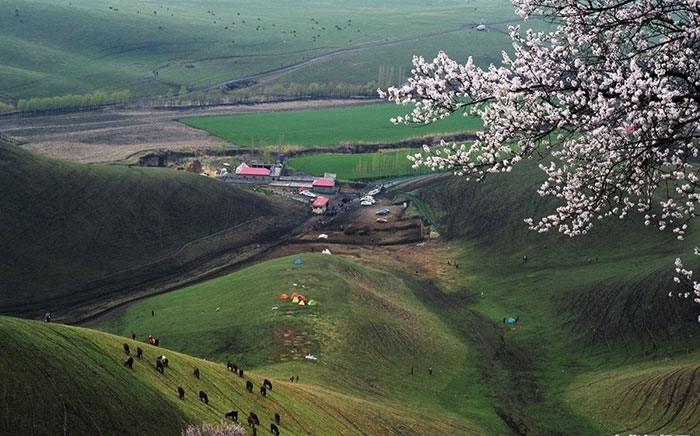 大师镜头拍摄技巧,单反相机摄影高级教程免费视频