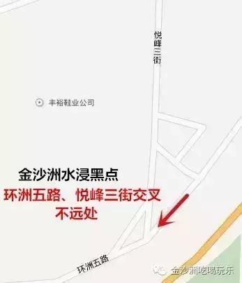 金沙洲哪里有水浸,金沙洲水浸吗