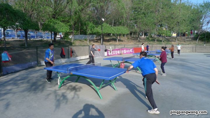 打好乒乓球的要害在哪里,想打好乒乓球其实并不容易