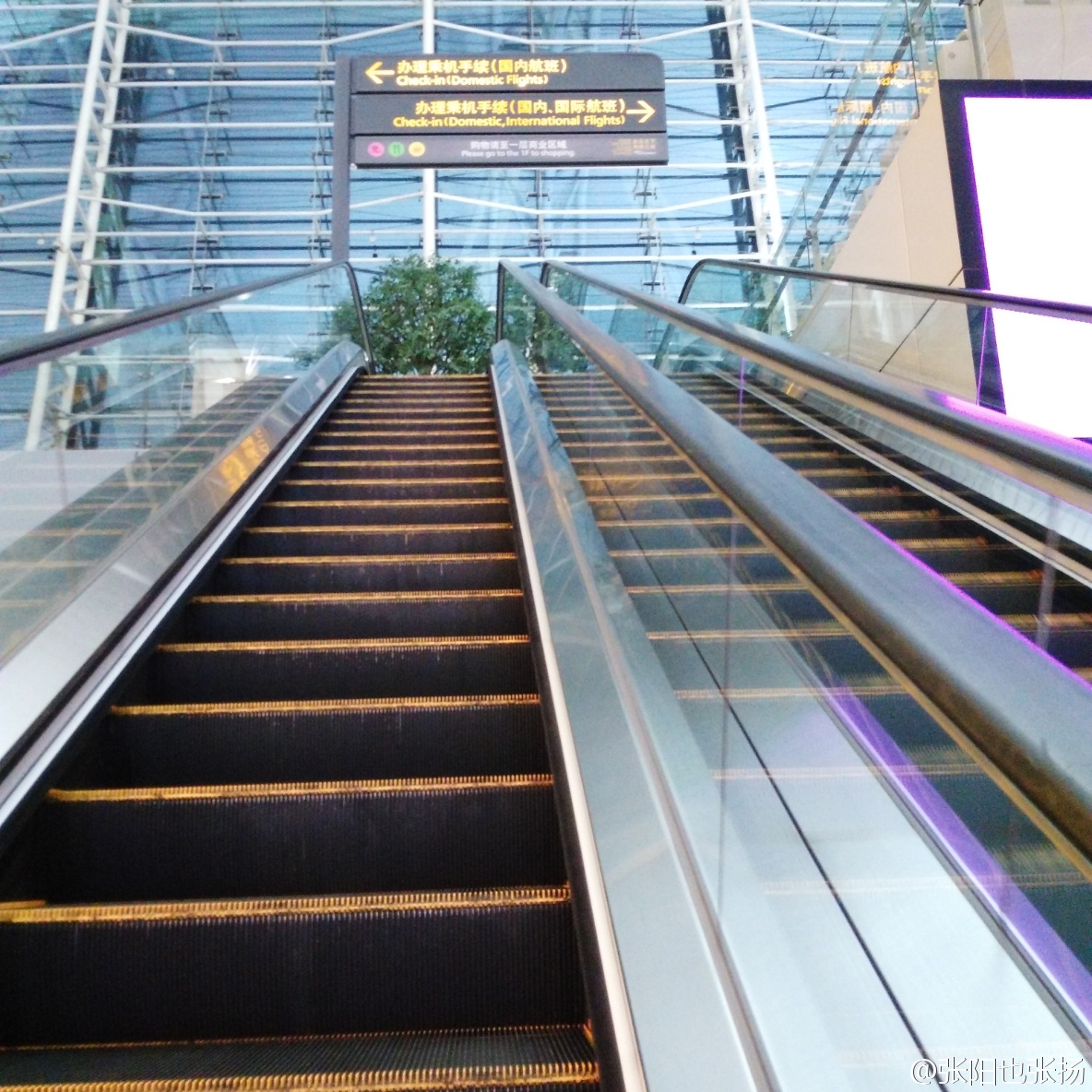 广州-重*红庆**眼航班乌龙记——一个人旅行DAY2