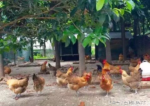 合肥附近自驾游能够去哪些地方玩,来合肥一定要玩的几个地方