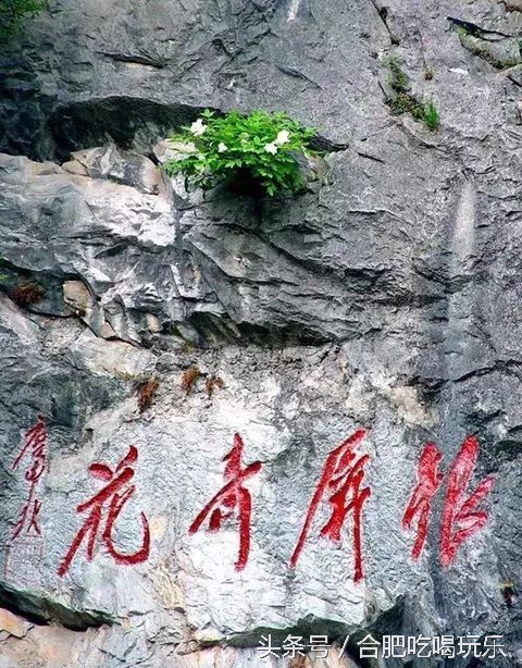 合肥附近自驾游能够去哪些地方玩,来合肥一定要玩的几个地方