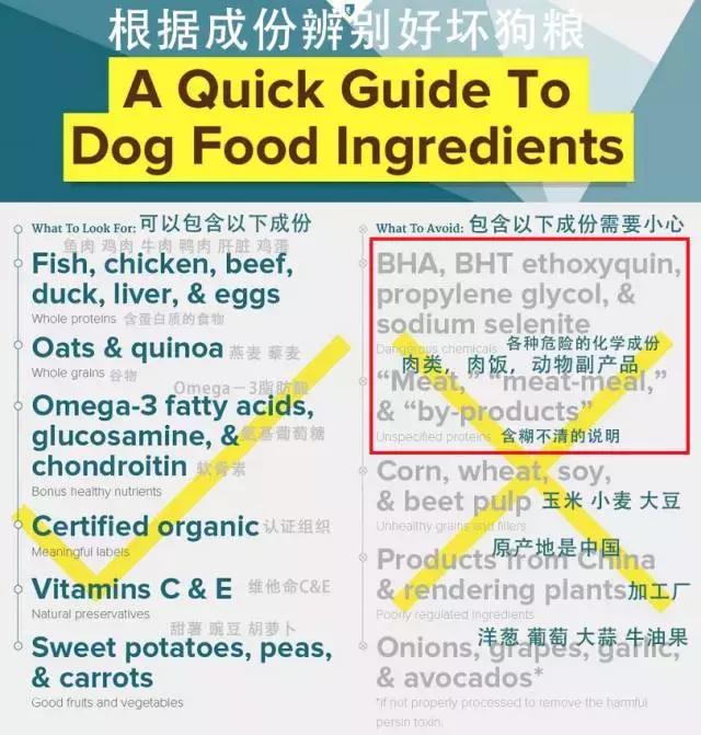 如何选正确狗狗粮,选好狗狗的六种技巧