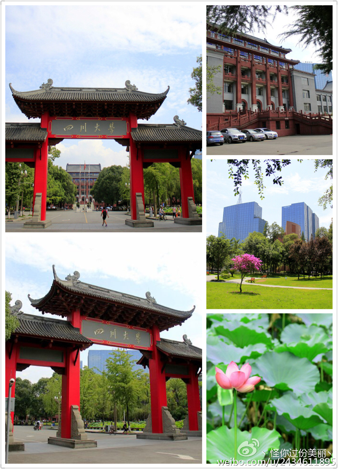 成都私人美食攻略,成都美食攻略人均50