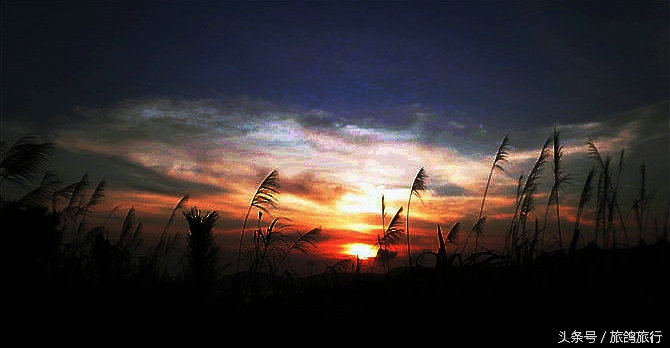 东极岛和其他的海岛有什么不一样,20年前的东极岛