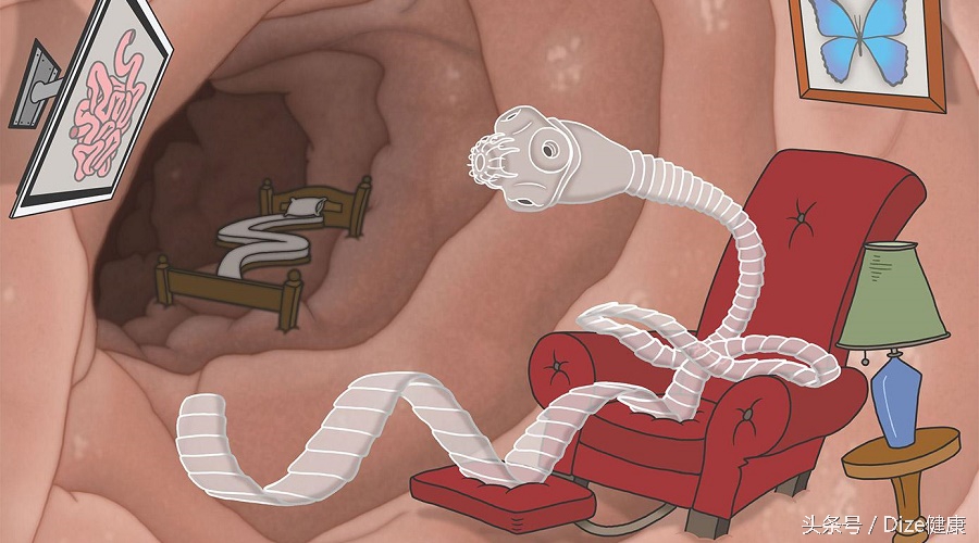 日料的刺身有寄生虫吗,日料生鱼片有风险吗