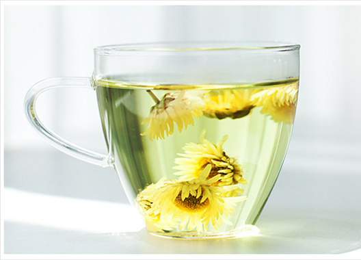 今年的新款胎菊,推荐一款胎菊