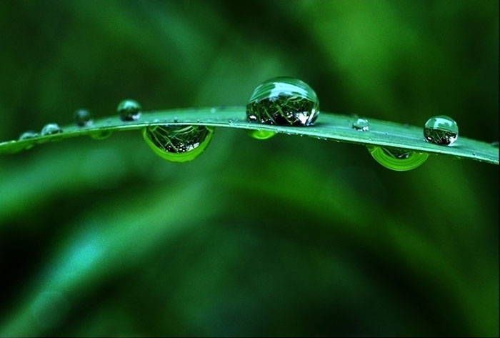 大师镜头拍摄技巧,单反相机摄影高级教程免费视频