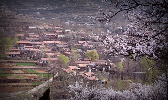 大师镜头拍摄技巧,单反相机摄影高级教程免费视频