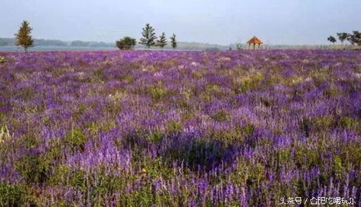 合肥附近自驾游能够去哪些地方玩,来合肥一定要玩的几个地方
