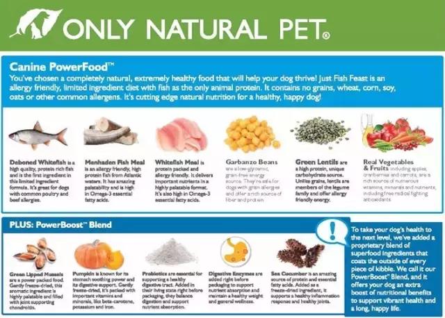 如何选正确狗狗粮,选好狗狗的六种技巧