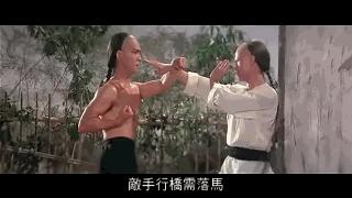 咏春拳败家仔完全视频,败家仔咏春拳口诀