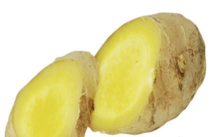 牙痛怎么办最有效最快止痛方法,牙痛怎么办快速止痛最有效方法