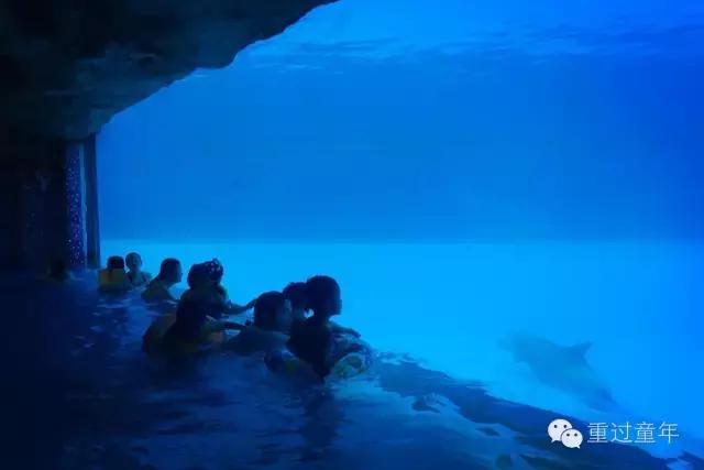 珠海长隆套票如何购买,珠海长隆官方优惠套票