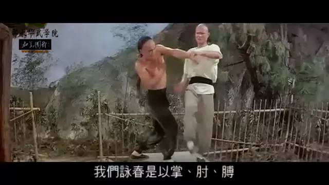 咏春拳败家仔完全视频,败家仔咏春拳口诀