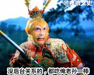 诸神坐骑下凡大比拼，要在凡间混要害还得看背景