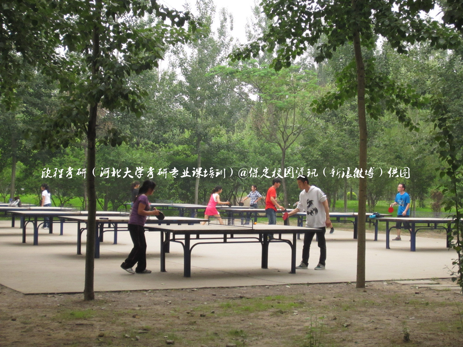 最美校园保定学院,河北最美的学院