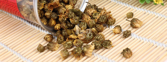 今年的新款胎菊,推荐一款胎菊