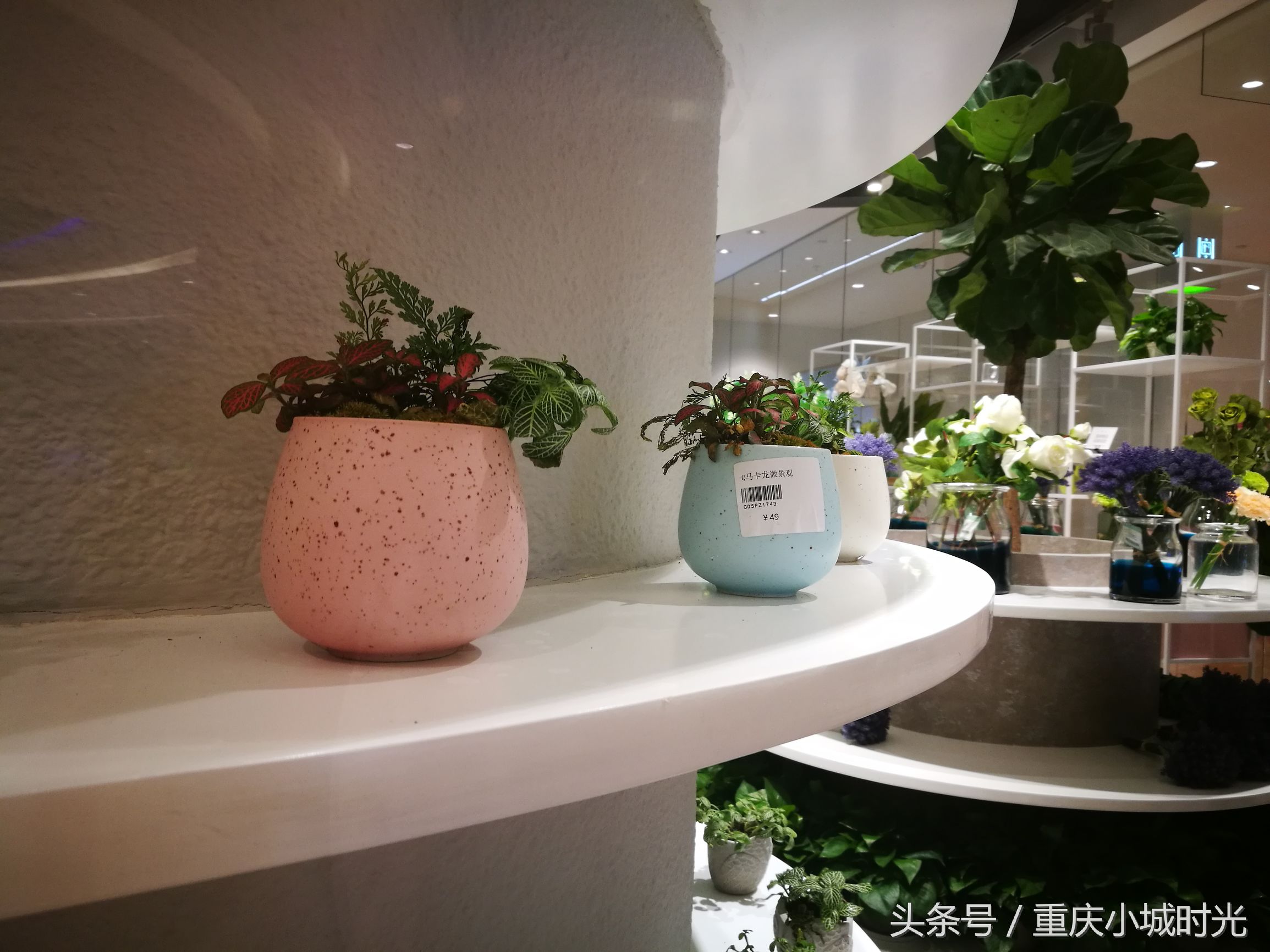 重庆大坪龙湖时代天街购物,大坪龙湖时代天街购物活动