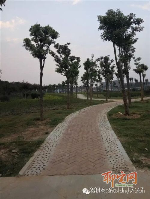 书香水岸质量怎么样,书香水岸好吗