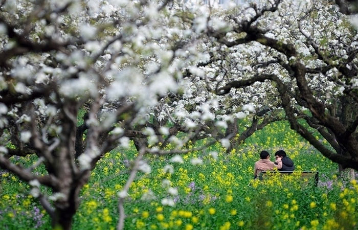 大师镜头拍摄技巧,单反相机摄影高级教程免费视频