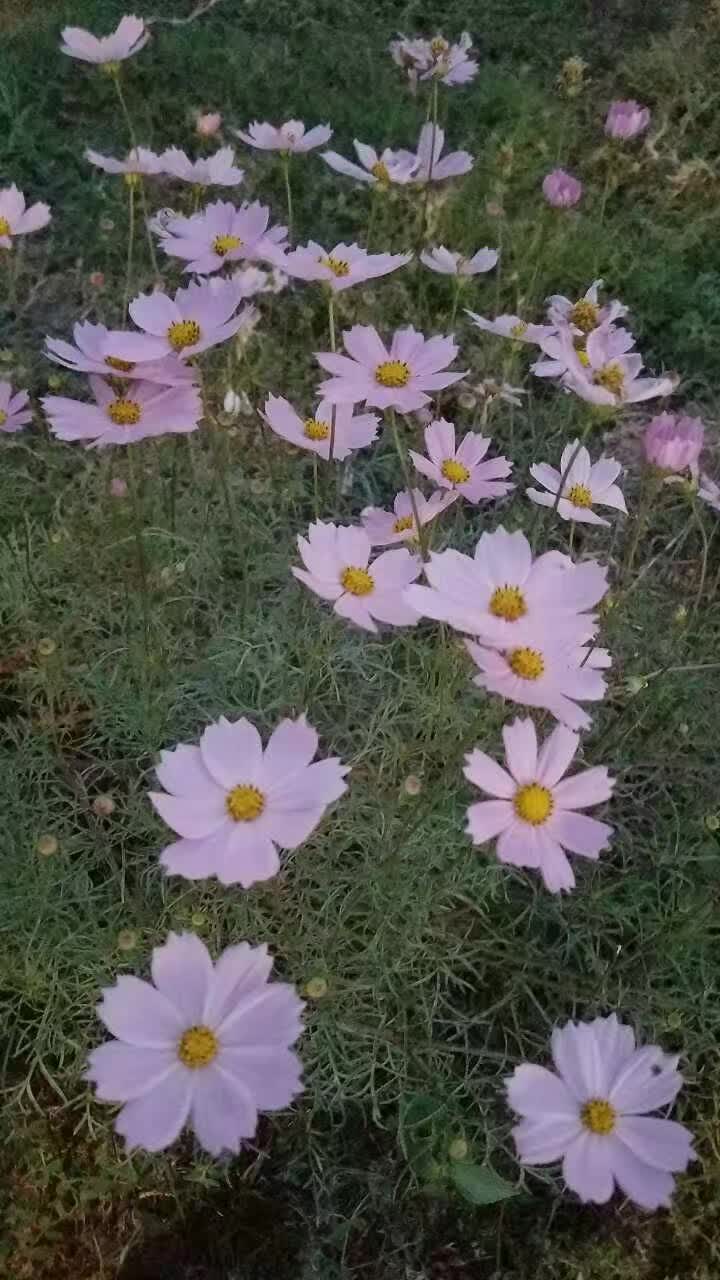 倒影摄影,天坛倒影摄影