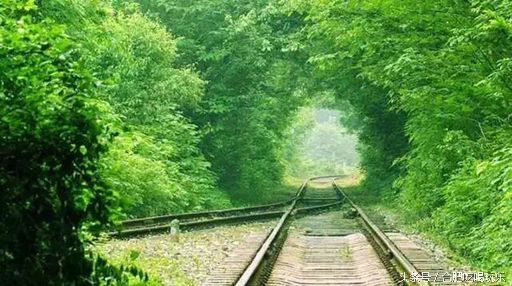 合肥附近自驾游能够去哪些地方玩,来合肥一定要玩的几个地方