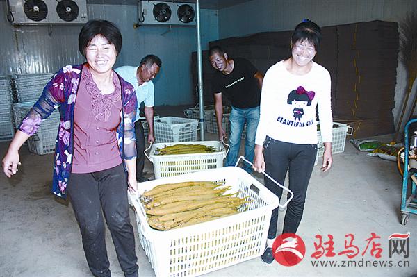 扶贫资金入股分红,扶贫资金投资合作社