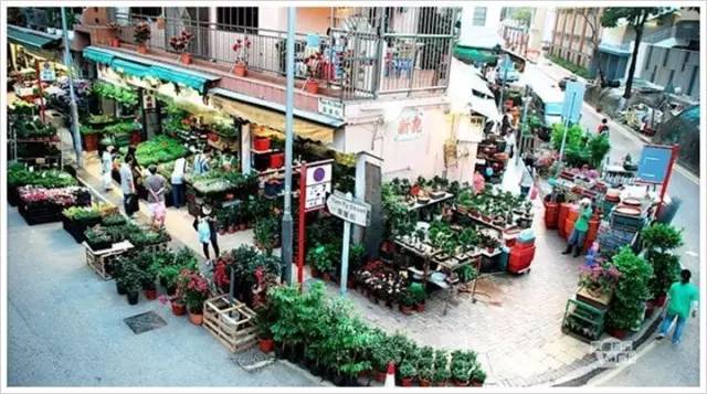 香港旺角攻略大全,香港旺角怎么逛不会迷路