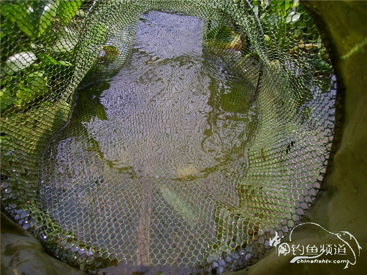 民间特色钓法,径河野钓地点