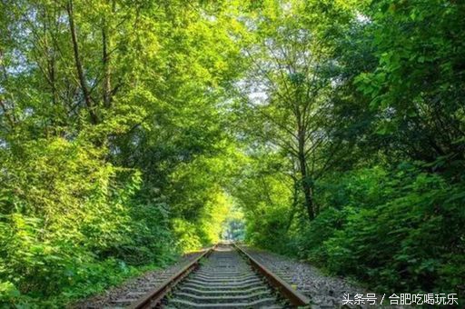 合肥附近自驾游能够去哪些地方玩,来合肥一定要玩的几个地方