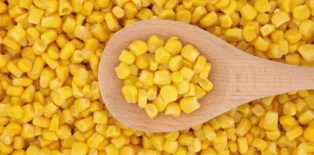 狗狗太瘦不爱吃狗粮怎么办,狗狗最近不怎么吃狗粮而且瘦了