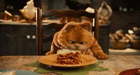 就让加菲毁掉你的中秋吧喵哈哈哈