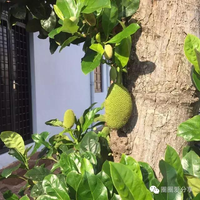 旅途回忆畅游马六甲海峡,感受马六甲南洋风情