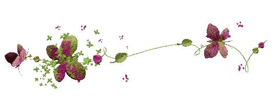 钓鱼独辟蹊径,钓鱼不求渔获