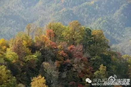 秦岭深处的周至老县城,探访周至名人