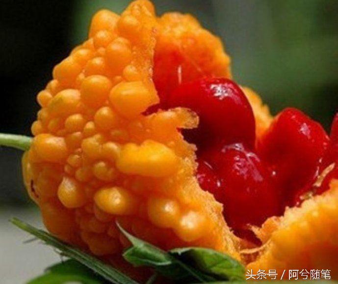 农村人最爱种植的20种“瓜”，你认识几个？|阿兮随笔