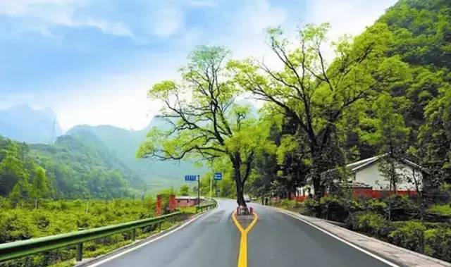 你为什么定居厦门,多少人离开了厦门