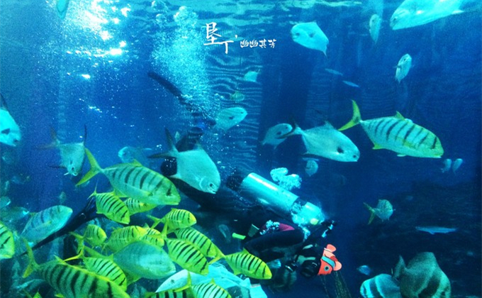 垦丁自驾游包车,垦丁大街春节包车多少钱