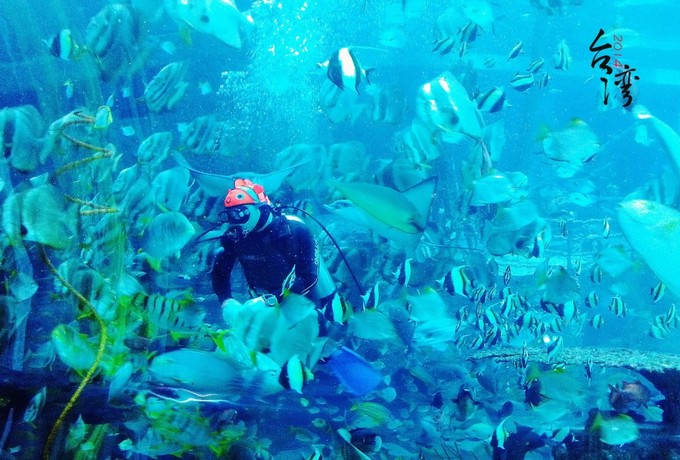 垦丁自驾游包车,垦丁大街春节包车多少钱