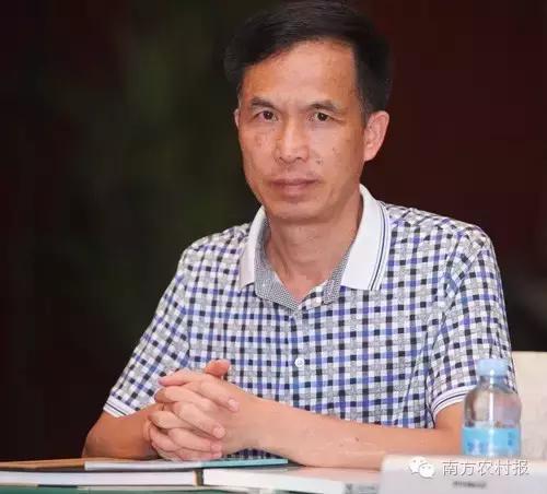 广东县域电商,广东省电商发展好的地方