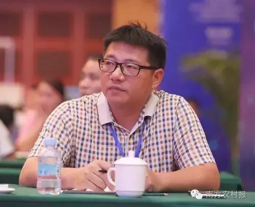 广东县域电商,广东省电商发展好的地方