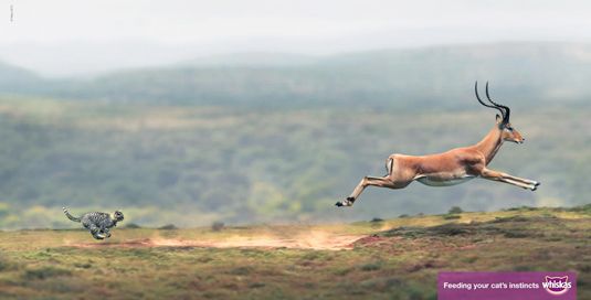 违法平面广告案例,户外平面广告创意案例