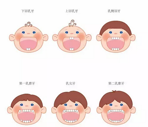 婴儿乳牙萌出注意事项,育儿必知道的营养小知识